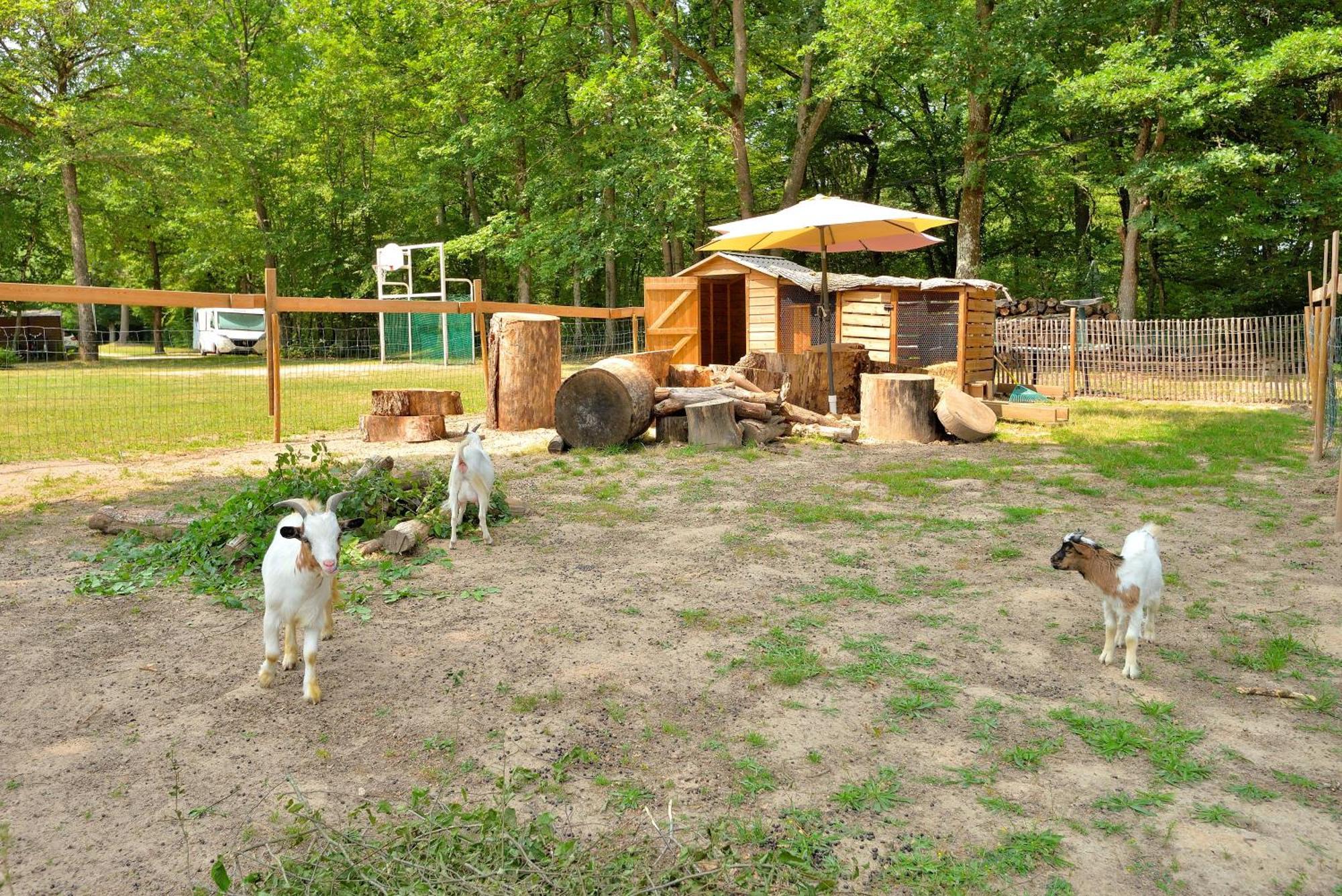 Camping Etang de la Vallée Combreux Exterior foto